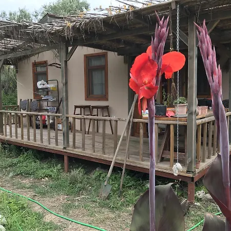 Дом отдыха Cozy Log Мугла